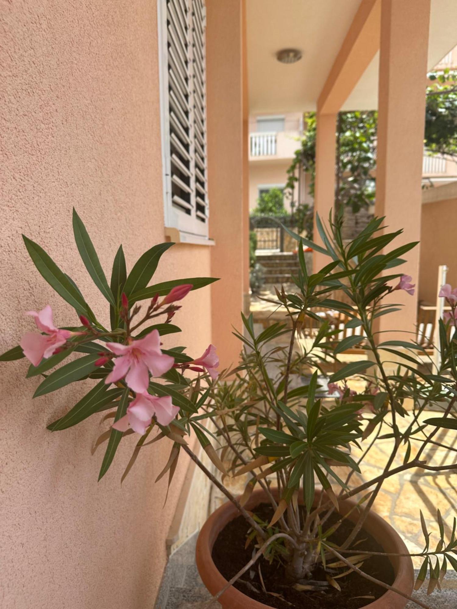 Apartments Zlatka Trogir Bagian luar foto